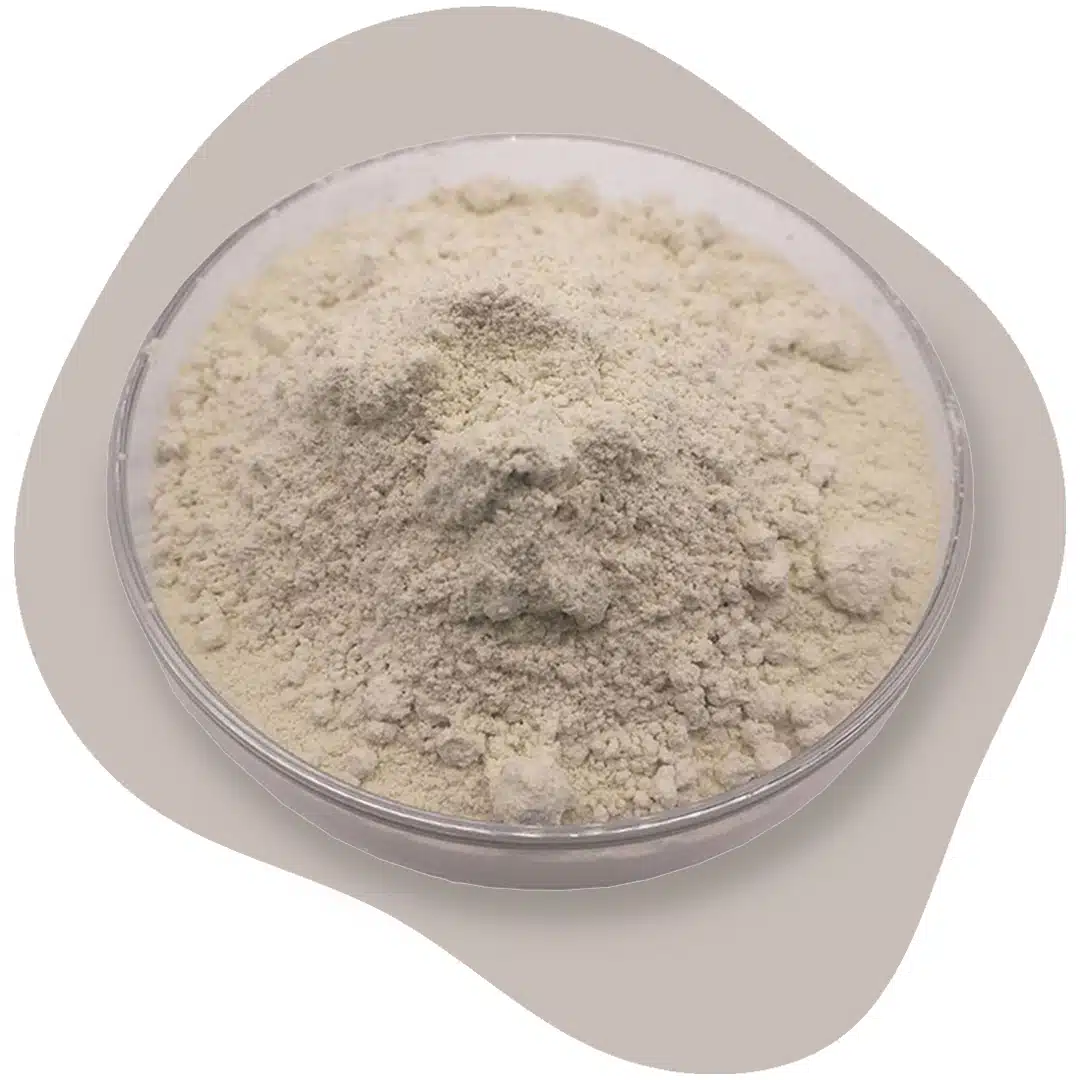 ملات نسوز و ملات نسوز چیست و ملات نسوز شاموتی و ملات نسوز آلومینی و ملات نسوز ضد اسید و تولید ملات نسوز و ترکیبات ملات نسوز و چگونه ملات نسوز درست کنیم و خرید ملات نسوز و قیمت ملات نسوز و با کیفیت بالا به همراه مشاوره و تماس تلفنی رایگان و استعلام و آنالیز قیمت